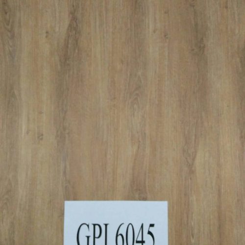 GPI 6045