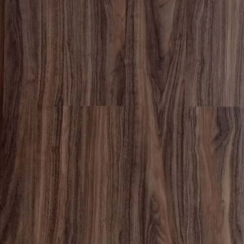 LVT 004