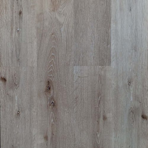 LVT 006